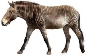 Equus giganteus